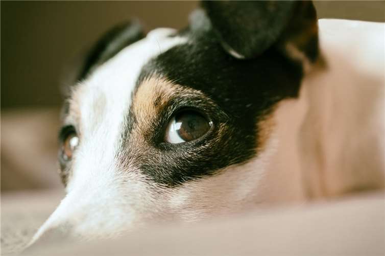 Symbolbild.  Foto: pixabay.com