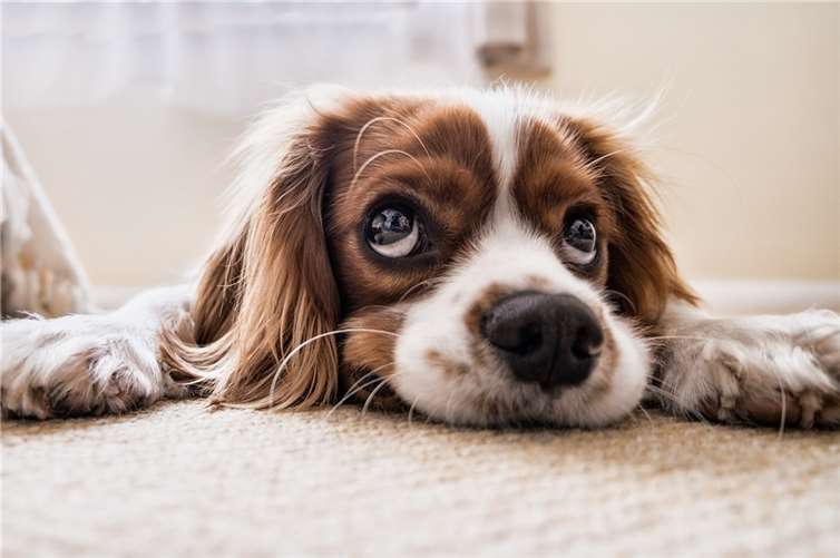 Symbolbild.  Foto: pixabay.com