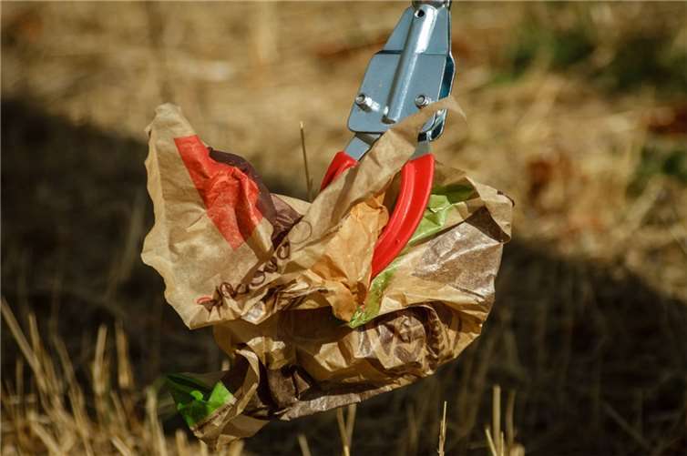Symbolbild.  Foto: pixabay.com