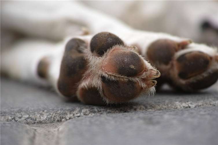 Symbolbild  Foto: pixabay.com