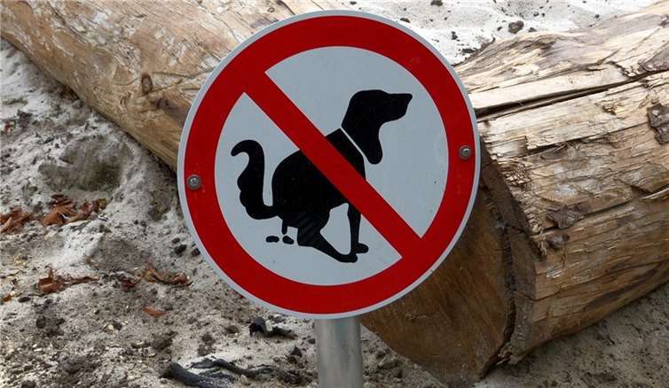 Symbolbild. Foto: pixabay.com