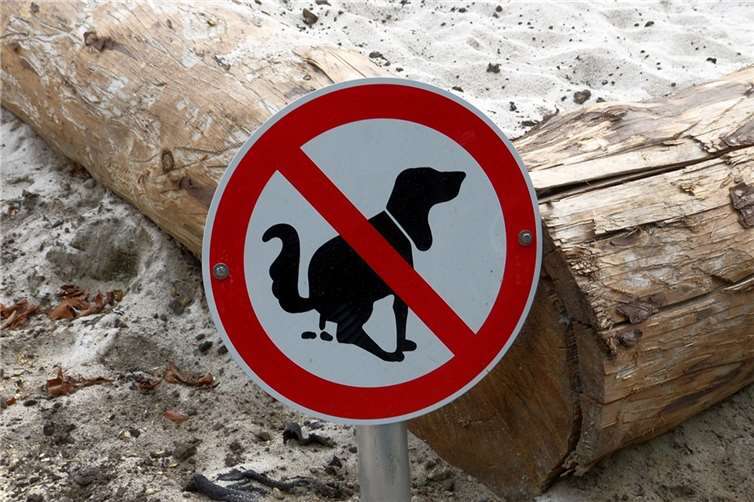Symbolbild.  Foto: pixabay.com
