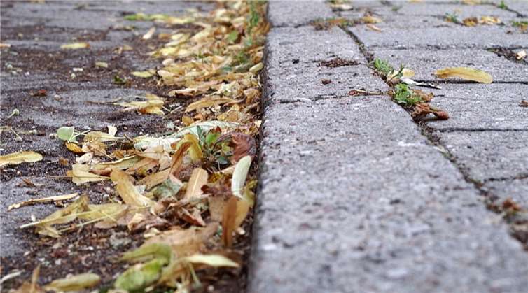 Symbolbild.  Foto: pixabay.com