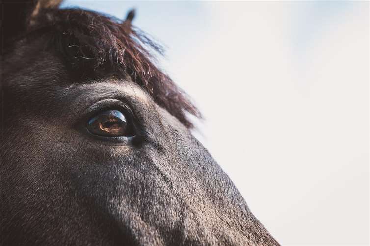 Symbolbild. Foto: pixabay.com