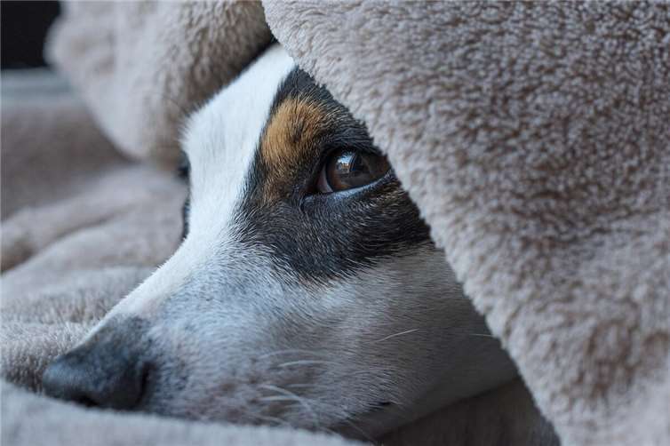 Symbolbild. Foto: pixabay.com