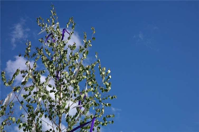 Handy-Panne entlarvt Maibaumdiebe Symbolbild. Foto: pixabay.com