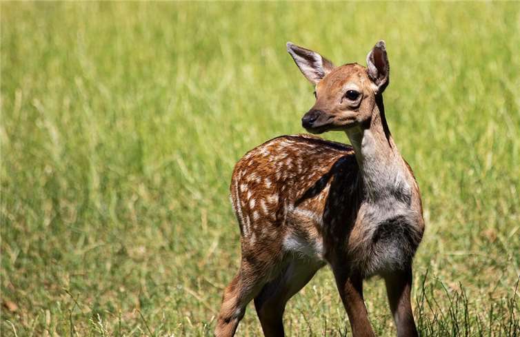 Symbolbild.  Foto: pixabay.com