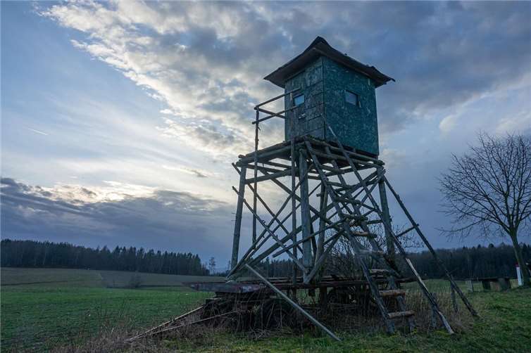Kreis Ahrweiler: Jäger protestieren gegen neuen Gesetzesentwurf Symbolbild. Foto: pixabay.com