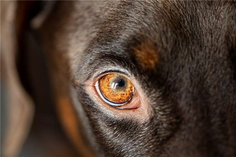 Symbolbild.  Foto:pixabay.com