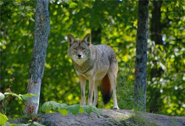 Symbolbild.  Foto:pixabay.com