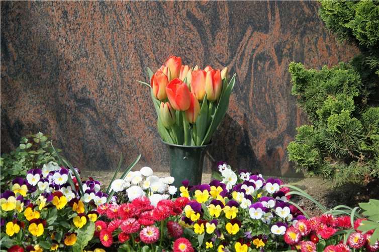 Symbolbild. Quelle: AdobeStock