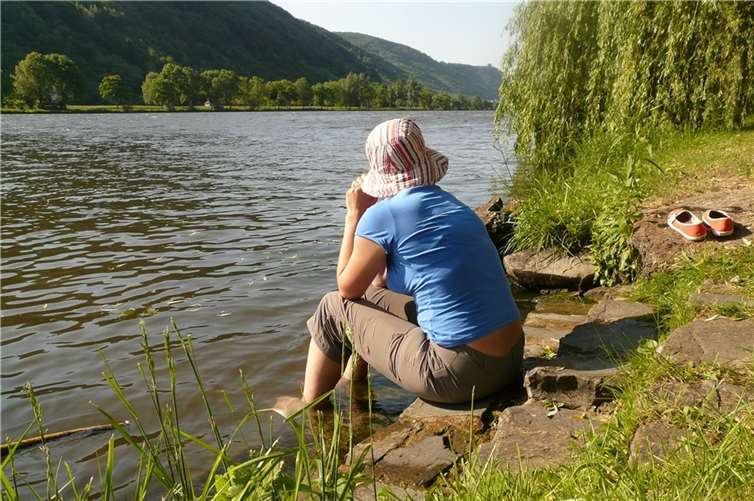 Symbolbild. Quelle: Hans/Pixabay