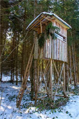 Symbolbild. Quelle: Pixabay