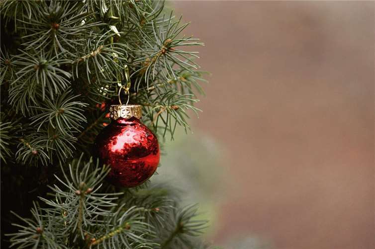 Abfuhrtermine für Weihnachtsbäume Symbolbild. Quelle: Pixabay