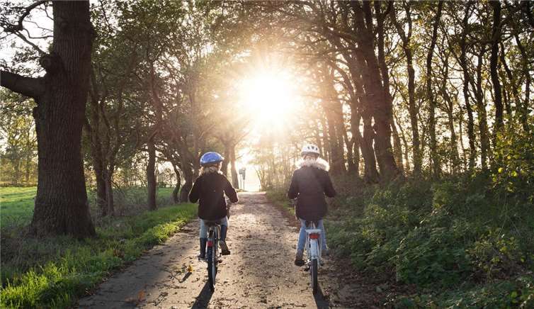 Koblenz verbessert sich im Fahrradklima-Test deutlich Symbolbild. Quelle: Pixabay