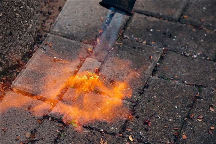 Symbolbild  Quelle: pixabay.com