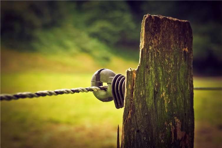 Symbolbild  Quelle: pixabay.com