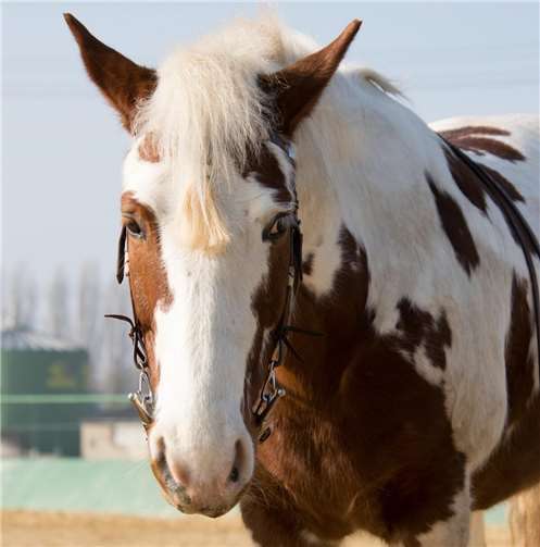 Symbolbild Quelle: pixabay.com