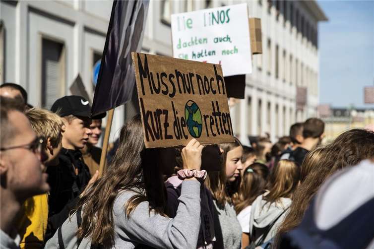 Demonstration für den Klimaschutz: 1.000 Teilnehmende erwartet Symbolbild Quelle: pixabay.com