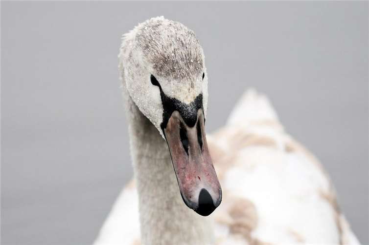 Symbolbild Quelle: pixabay.com