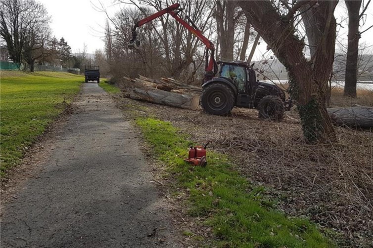 Symbolbild einer Verkehrssicherungsmaßnahme am Lahnsteiner Rheinufer aus dem Jahr 2019. Foto:SGD Nord