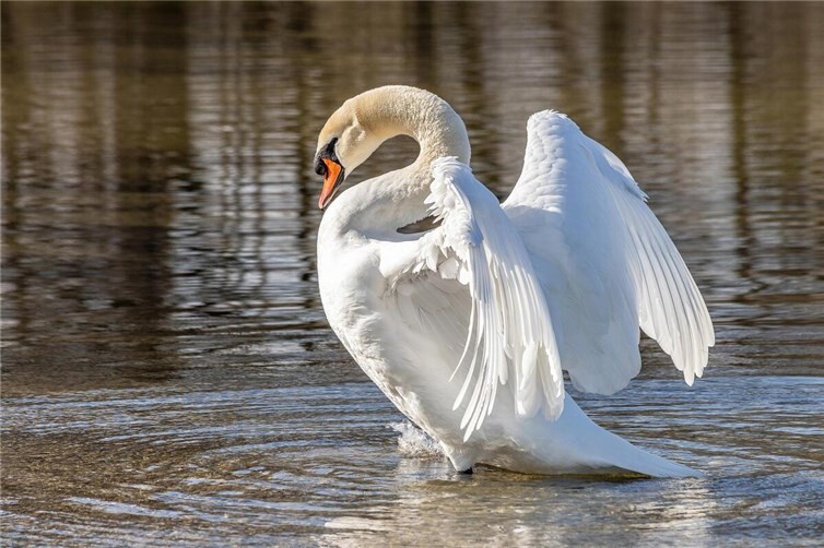 Symbolbild. pixabay.com