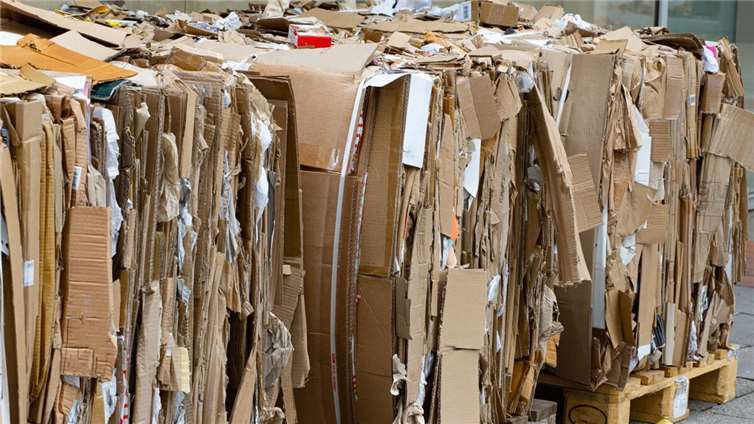 Symbolbild.Foto: Comofoto - AdobeStock