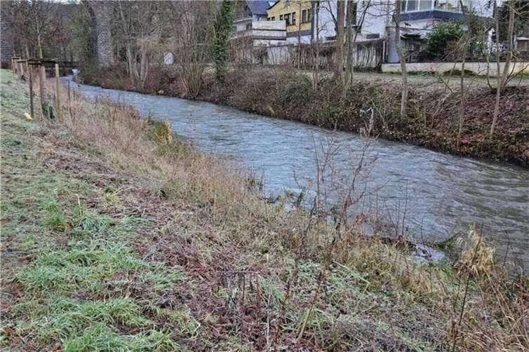Symbolbild.Foto: Jasmin Alter / Stadt Mayen