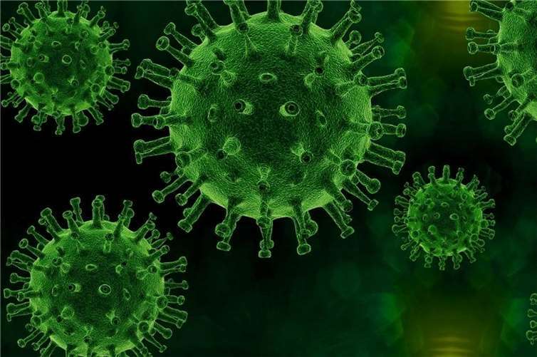 Symbolbild.Foto: Pixabay