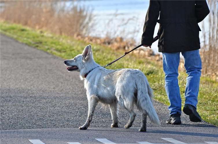 Symbolbild.Foto: Pixabay