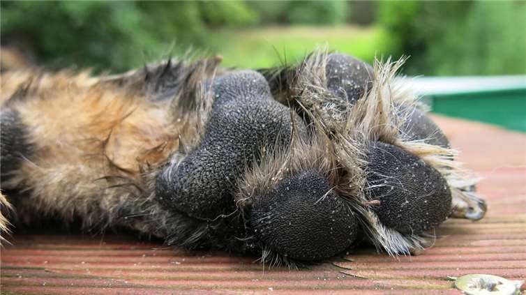 Symbolbild.Foto: Pixabay