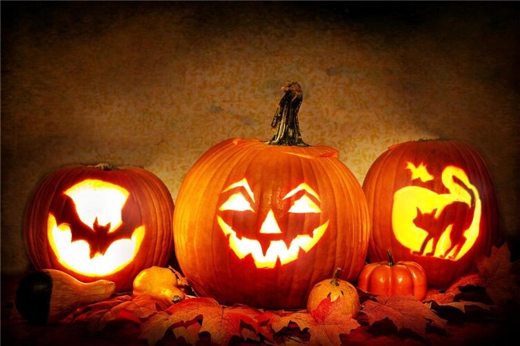 Leuchtende Kürbisse für Halloween – Anleitung zum Schnitzen und Dekorieren Symbolbild.Foto: Pixabay
