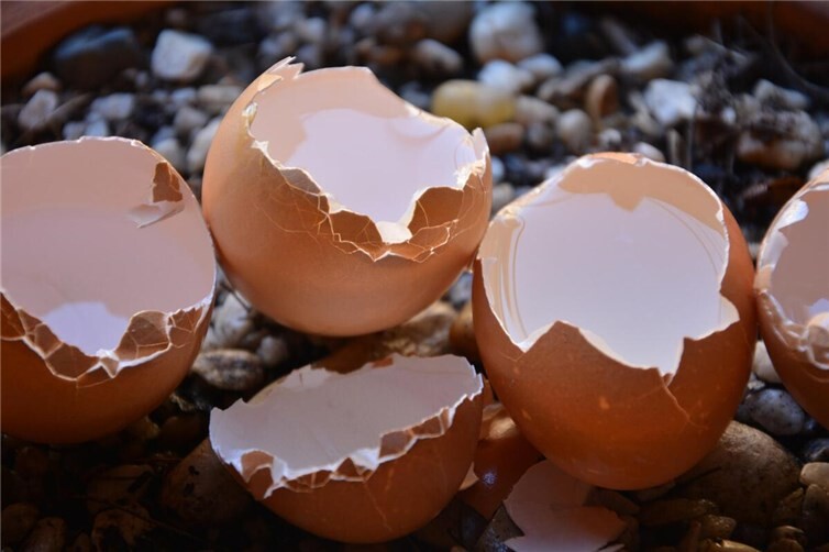 Symbolbild.Foto: Pixabay