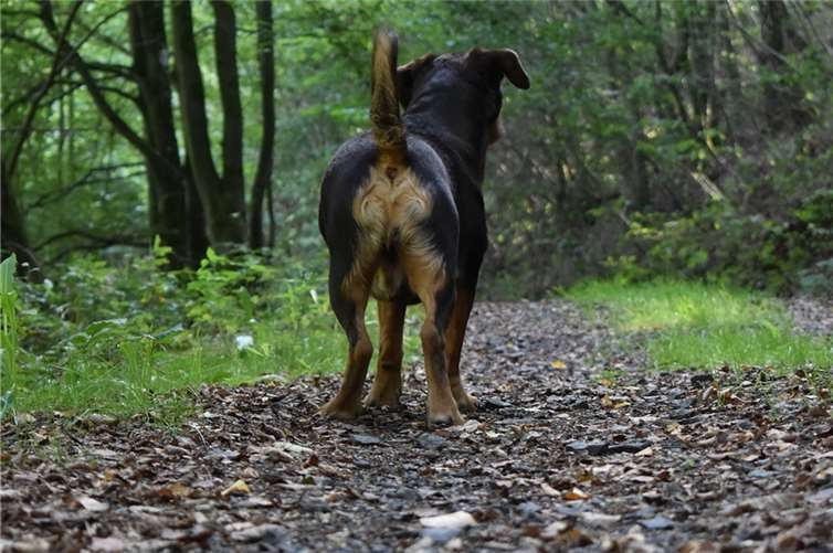 Symbolbild.Foto: calm_lu/Pixabay