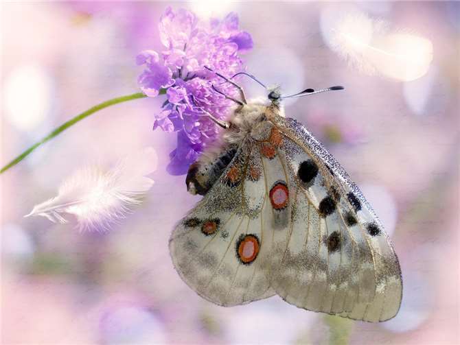 Symbolbild.Foto: pixabay