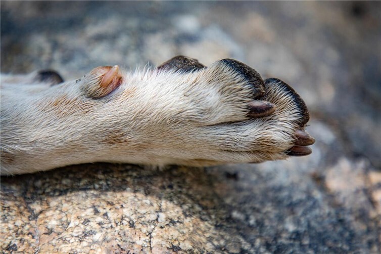 SymbolbildQuelle: pixabay.com