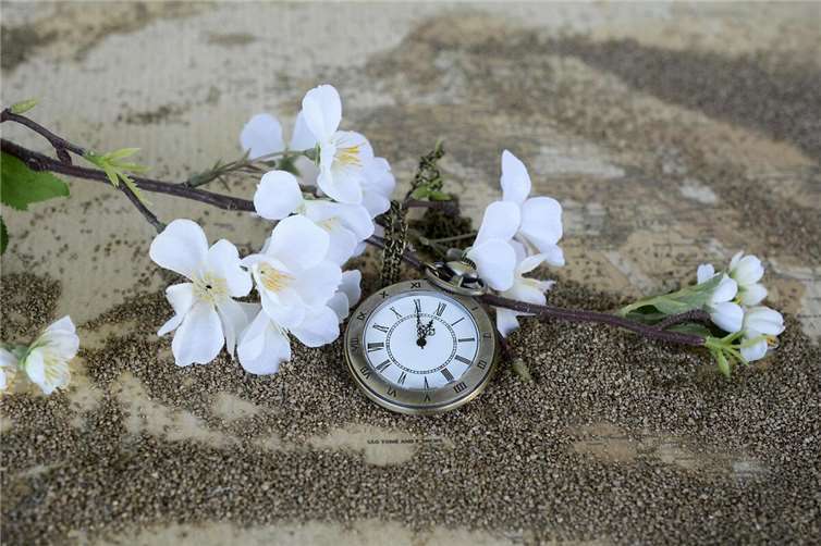 Symbolfoto: Annette - pixabay.com