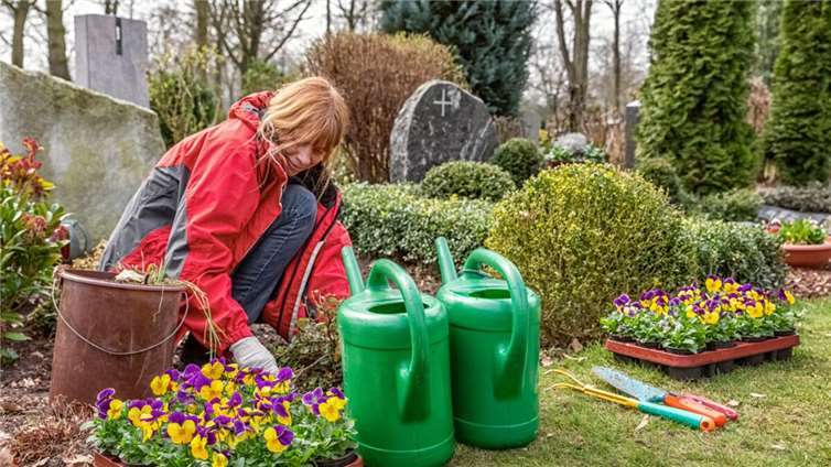 Symbolfoto: Ingo Bartussek - Adobe Stock