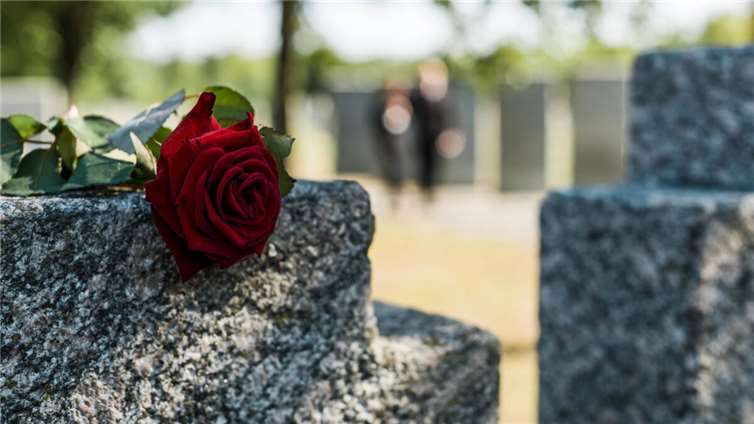 Symbolfoto: LIGHTFIELD STUDIOS - Adobe Stock