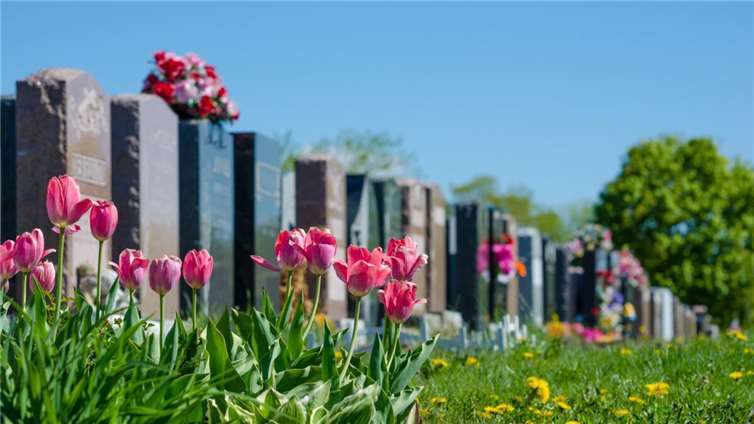 Symbolfoto: mbruxelle - Adobe Stock