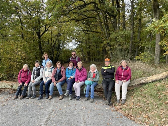 TV06-Wanderer genießen den goldenen Herbst.  Foto: privat