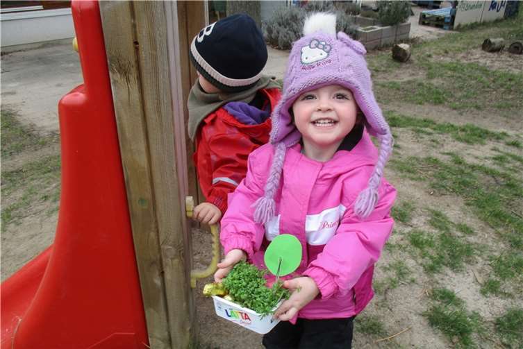 Täglich kontrollierten die Kleinen wie die Kresse wächst.