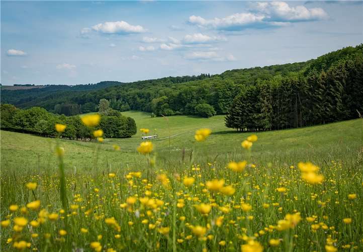 Talblick am Butterpfad bei Straßenhaus. Copyright: Andreas Pacek