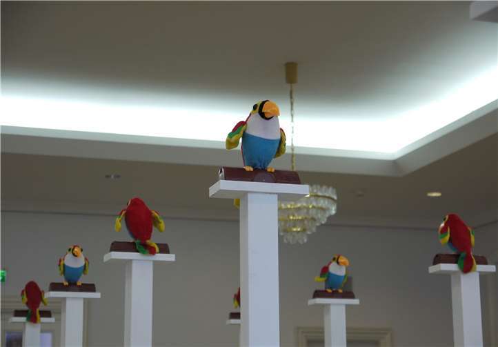 Talking Toucans.Foto: privat