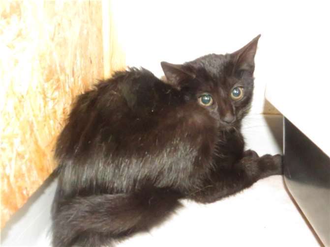 Tally. Fotos: privat