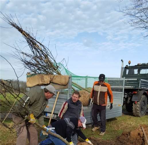 Tatkräftige Unterstützer sorgten dafür, dass die Bäume auf der Brachfläche einen neuen Standort fanden.