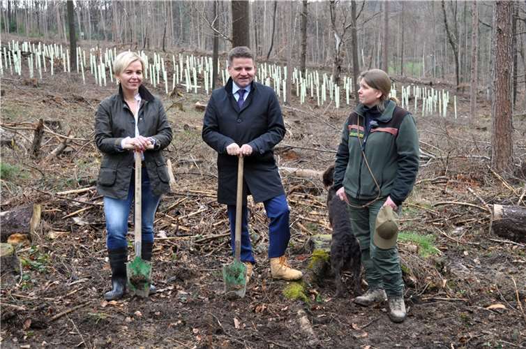 Tauschen sich über die Baumpflanzaktion aus, von links: Helen Albrecht, Bürgermeister Holger Jung und Janine Tölle. Foto: Stadt Meckenheim
