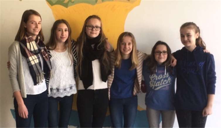 Team Volleyball der Schönstätter Marienschule.