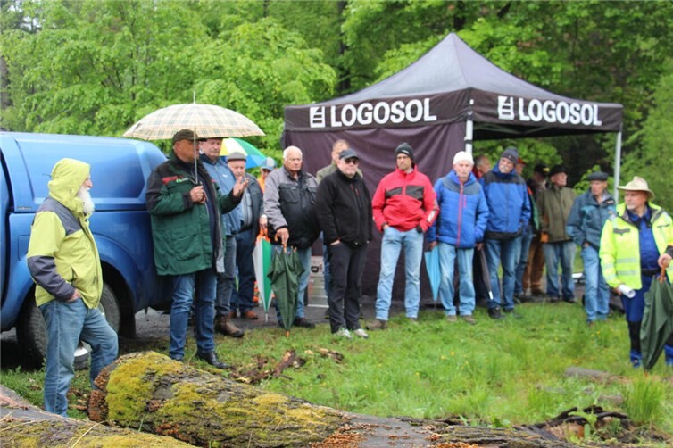 Teilnehmer am Waldbildungstag