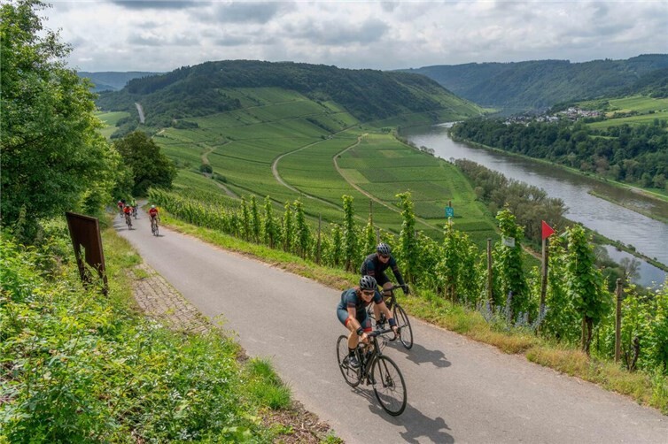 Teilnehmer an der Mosel.